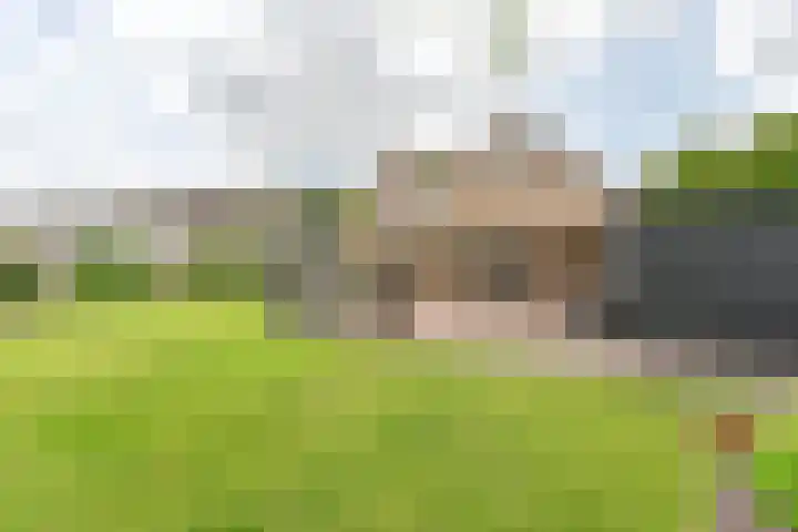Kevelinglaan 8 Valthermond thumbnail 59