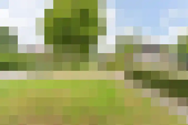 Kevelinglaan 8 Valthermond thumbnail 6