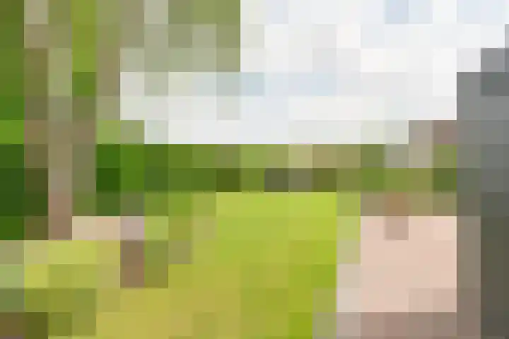 Kevelinglaan 8 Valthermond thumbnail 61