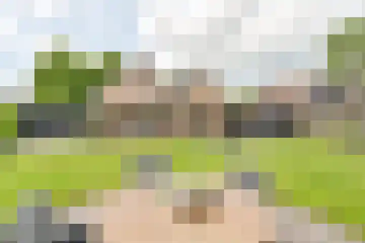 Kevelinglaan 8 Valthermond thumbnail 62