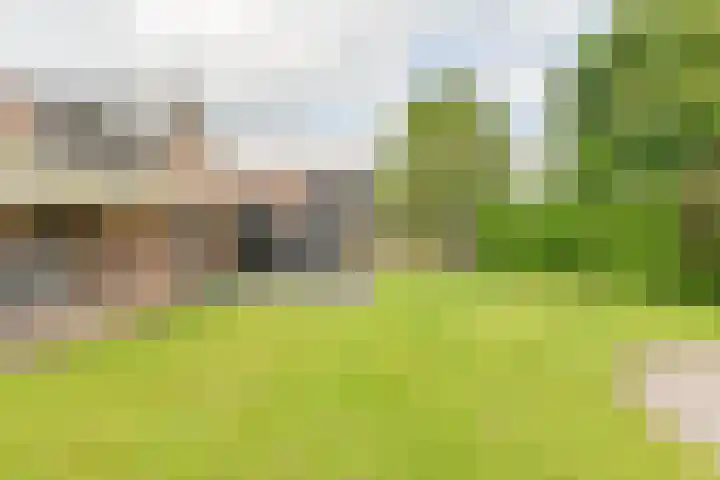 Kevelinglaan 8 Valthermond thumbnail 64