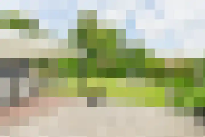 Kevelinglaan 8 Valthermond thumbnail 66