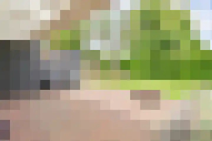 Kevelinglaan 8 Valthermond thumbnail 69