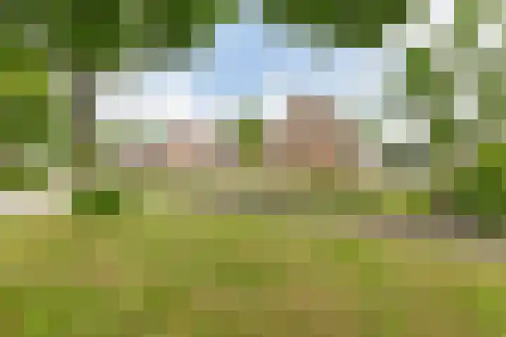 Kevelinglaan 8 Valthermond thumbnail 7