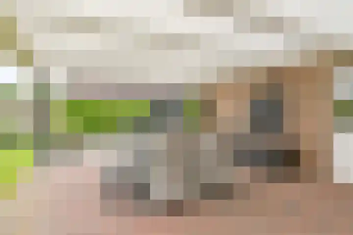 Kevelinglaan 8 Valthermond thumbnail 70