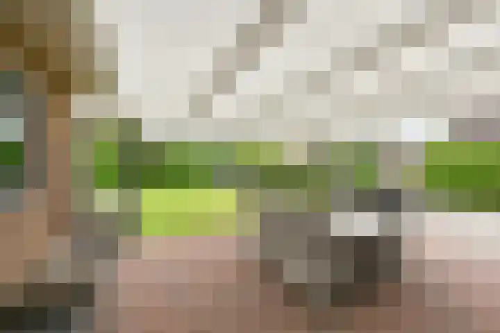Kevelinglaan 8 Valthermond thumbnail 71
