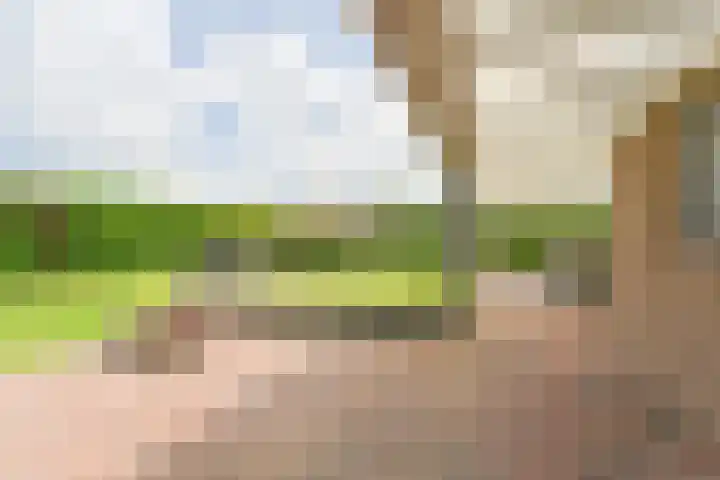 Kevelinglaan 8 Valthermond thumbnail 72