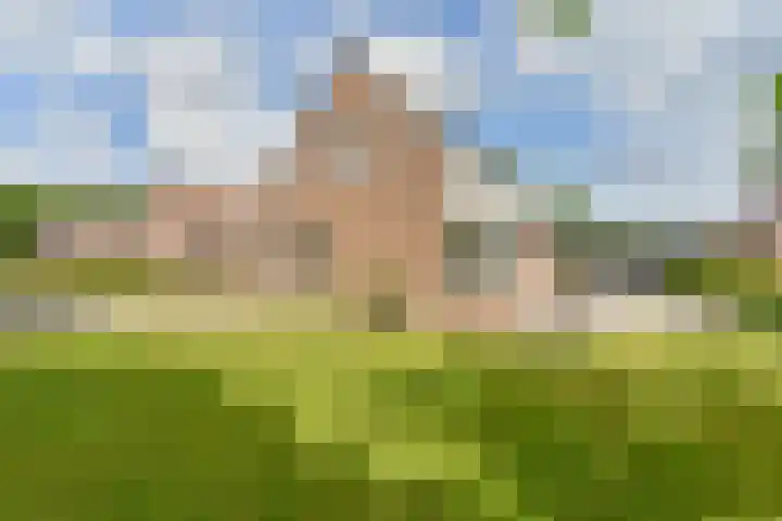 Kevelinglaan 8 Valthermond thumbnail 8