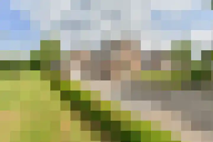 Kevelinglaan 8 Valthermond thumbnail 9