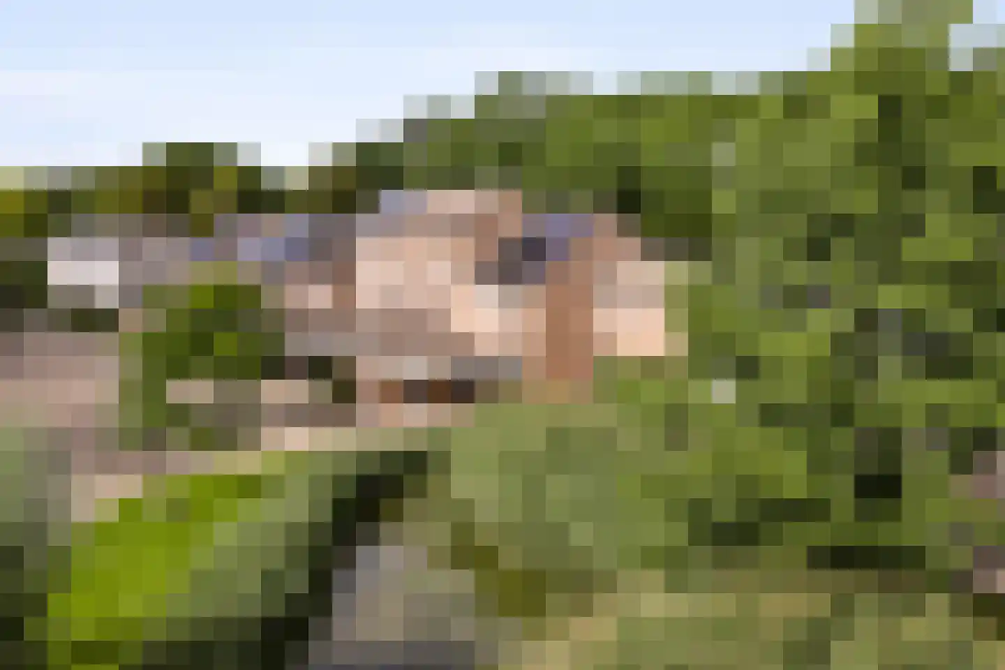 Keverberg 24 Weert thumbnail 11