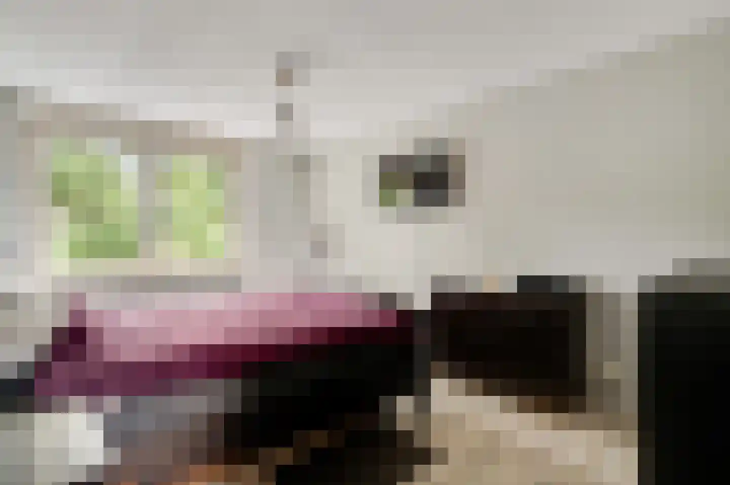 Keverberg 24 Weert thumbnail 17