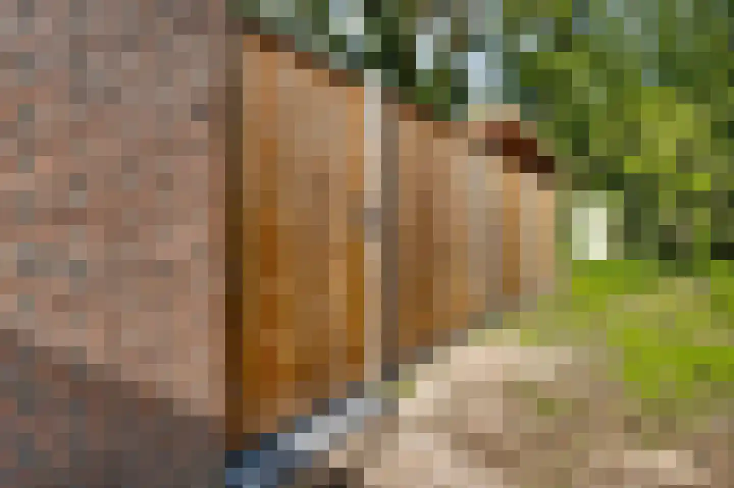 Keverberg 24 Weert thumbnail 37