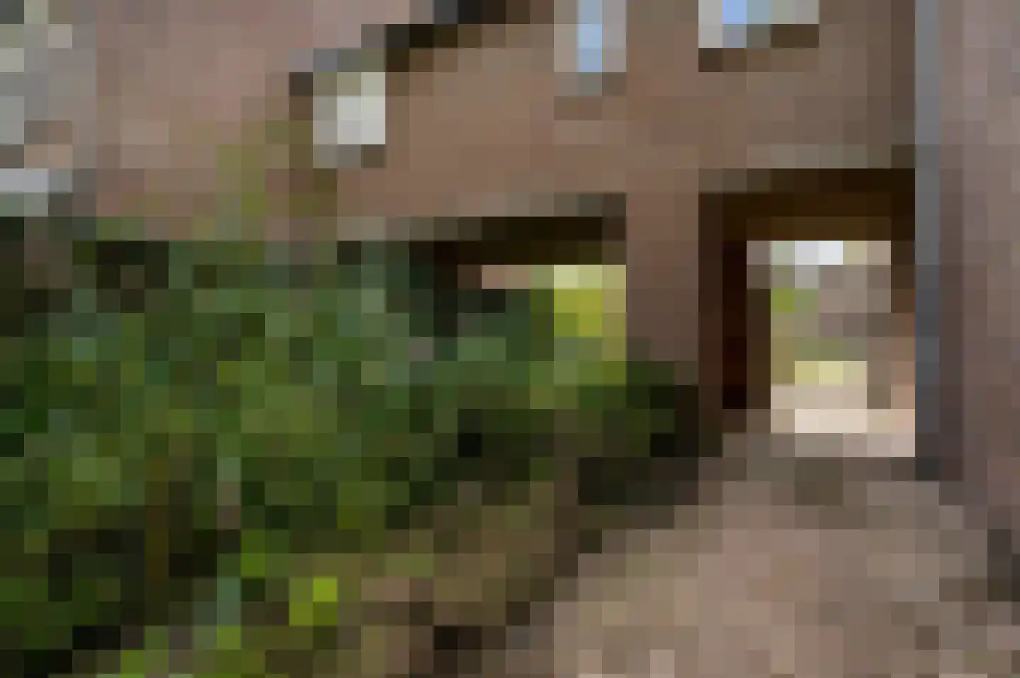 Keverberg 24 Weert thumbnail 7