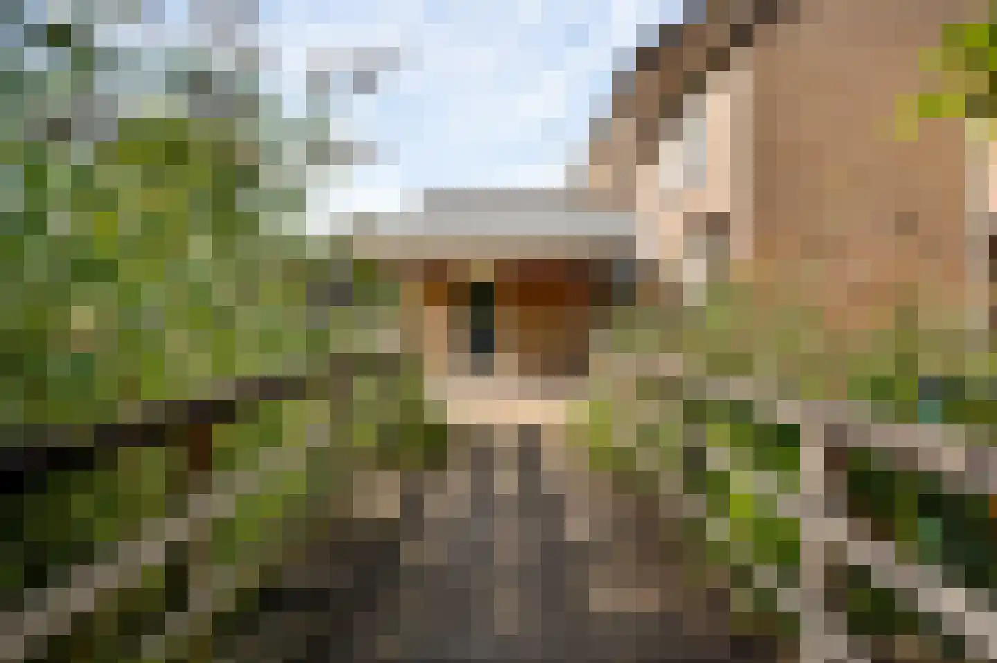 Keverberg 24 Weert thumbnail 9