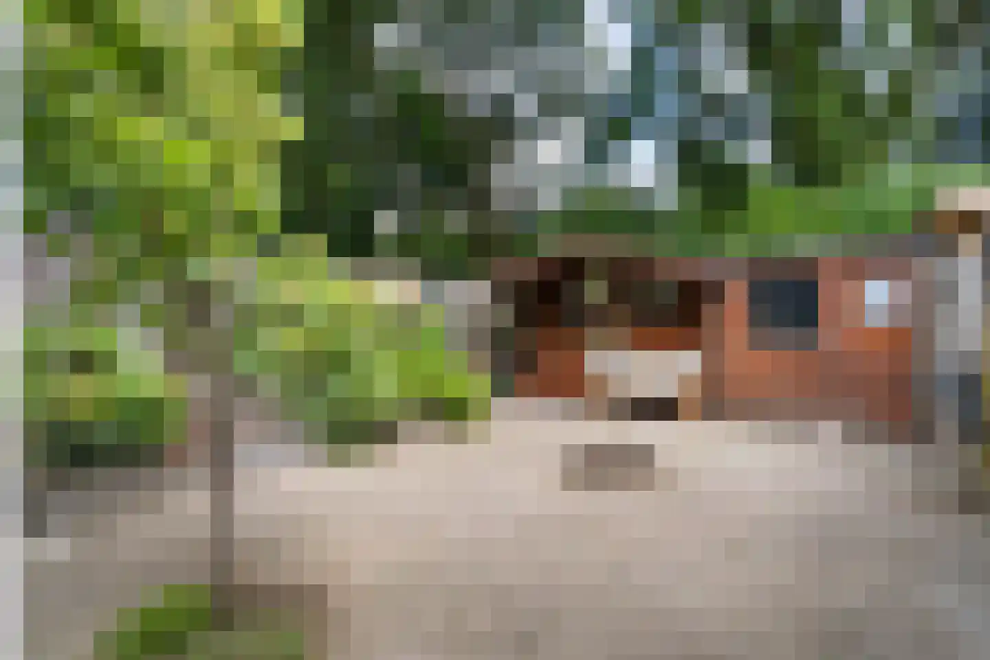 Keverberg 26 Weert thumbnail 41