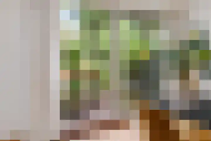 Keverberg 31 Amsterdam thumbnail 11