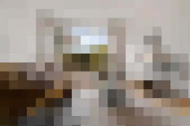 Keverberg 31 Amsterdam thumbnail 5