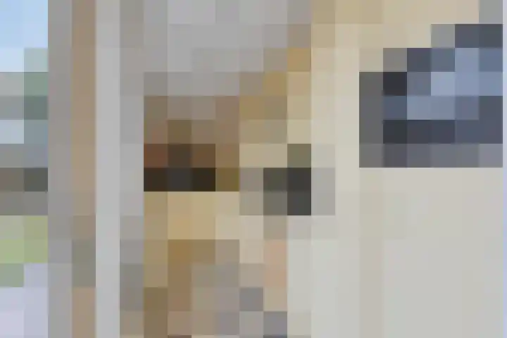 Keverberg 34 Eindhoven thumbnail 15