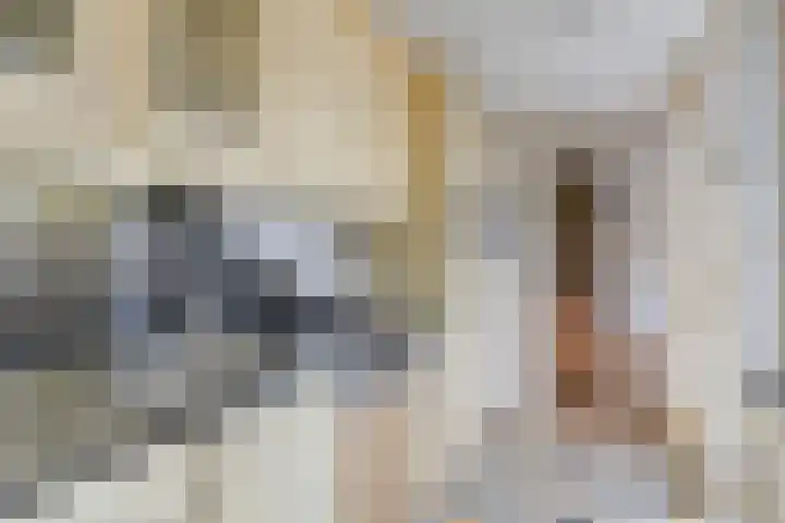 Keverberg 34 Eindhoven thumbnail 17