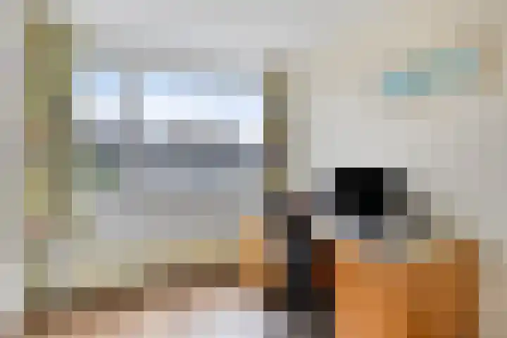 Keverberg 34 Eindhoven thumbnail 22
