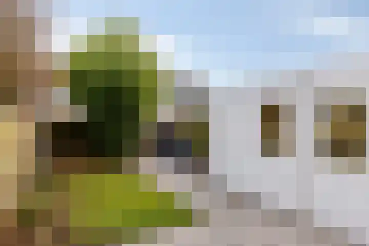 Keverberg 34 Eindhoven thumbnail 33