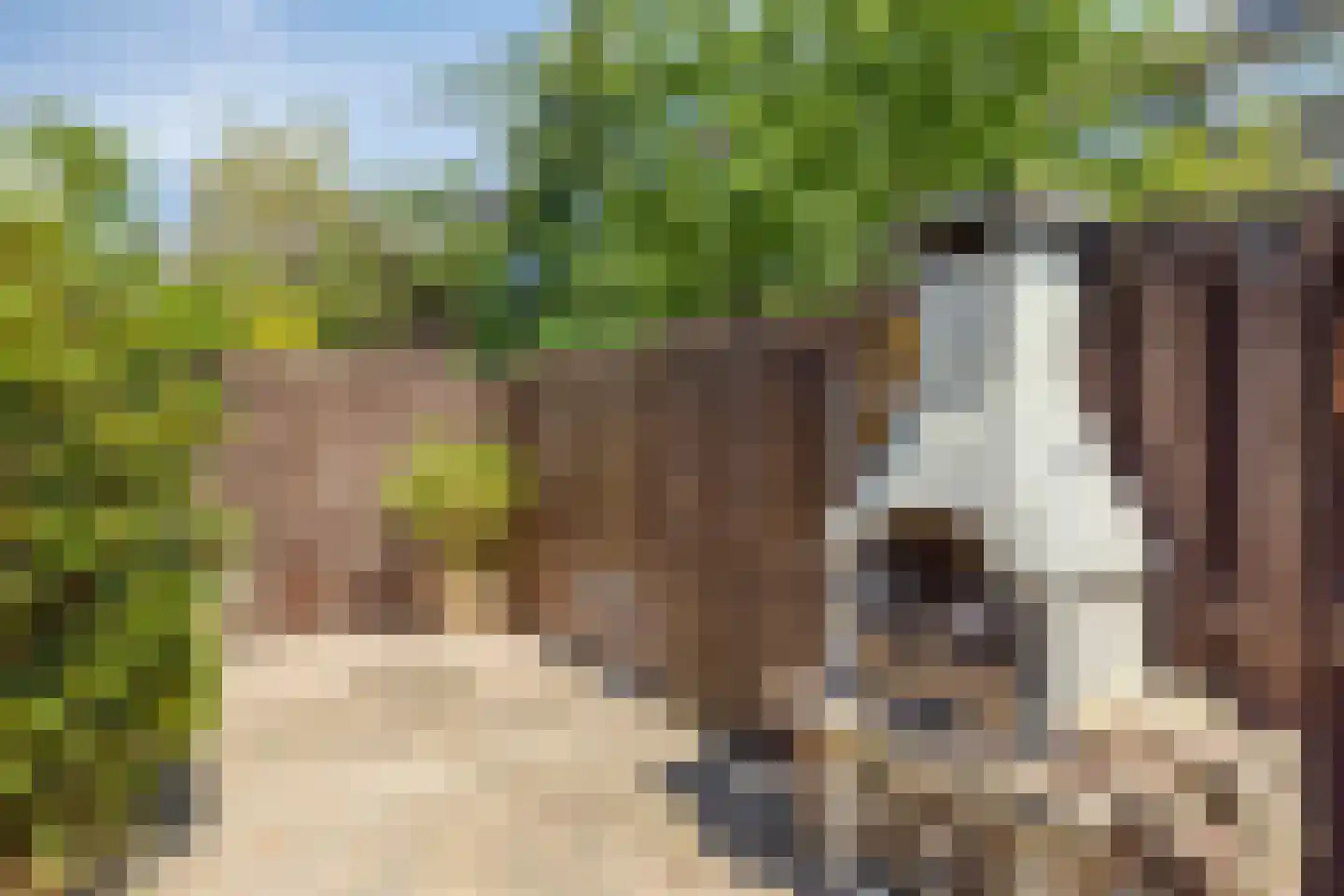 Keverberg 4 Eindhoven thumbnail 33