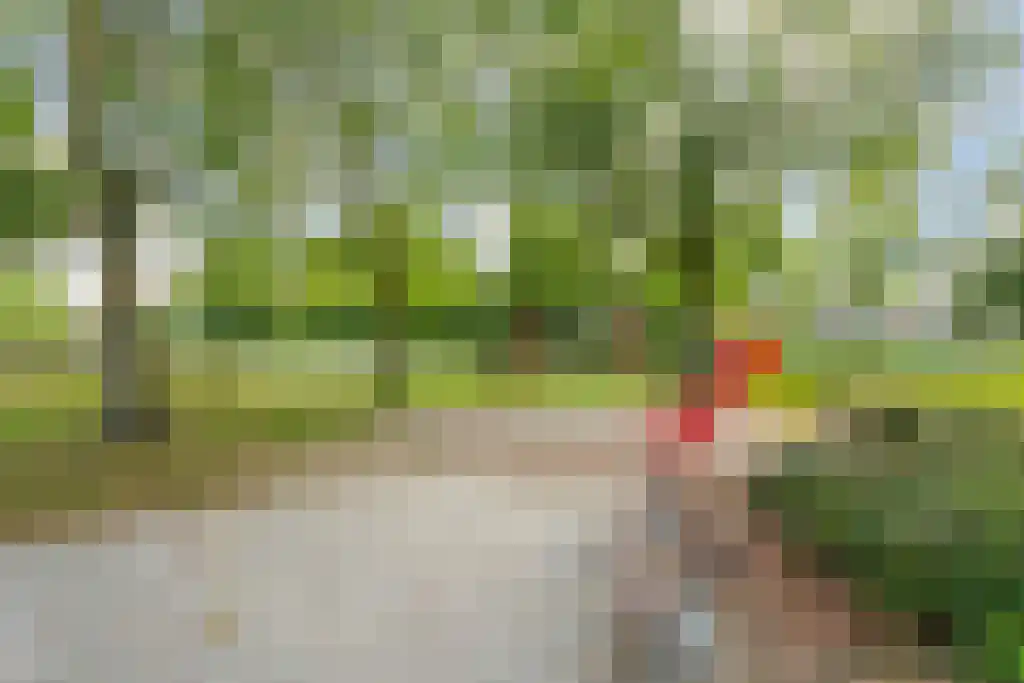 Keverberg 4 Eindhoven thumbnail 35