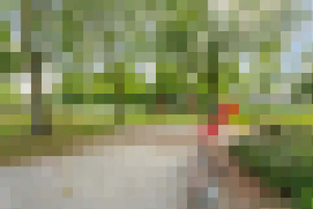 Keverberg 4 Eindhoven thumbnail 35