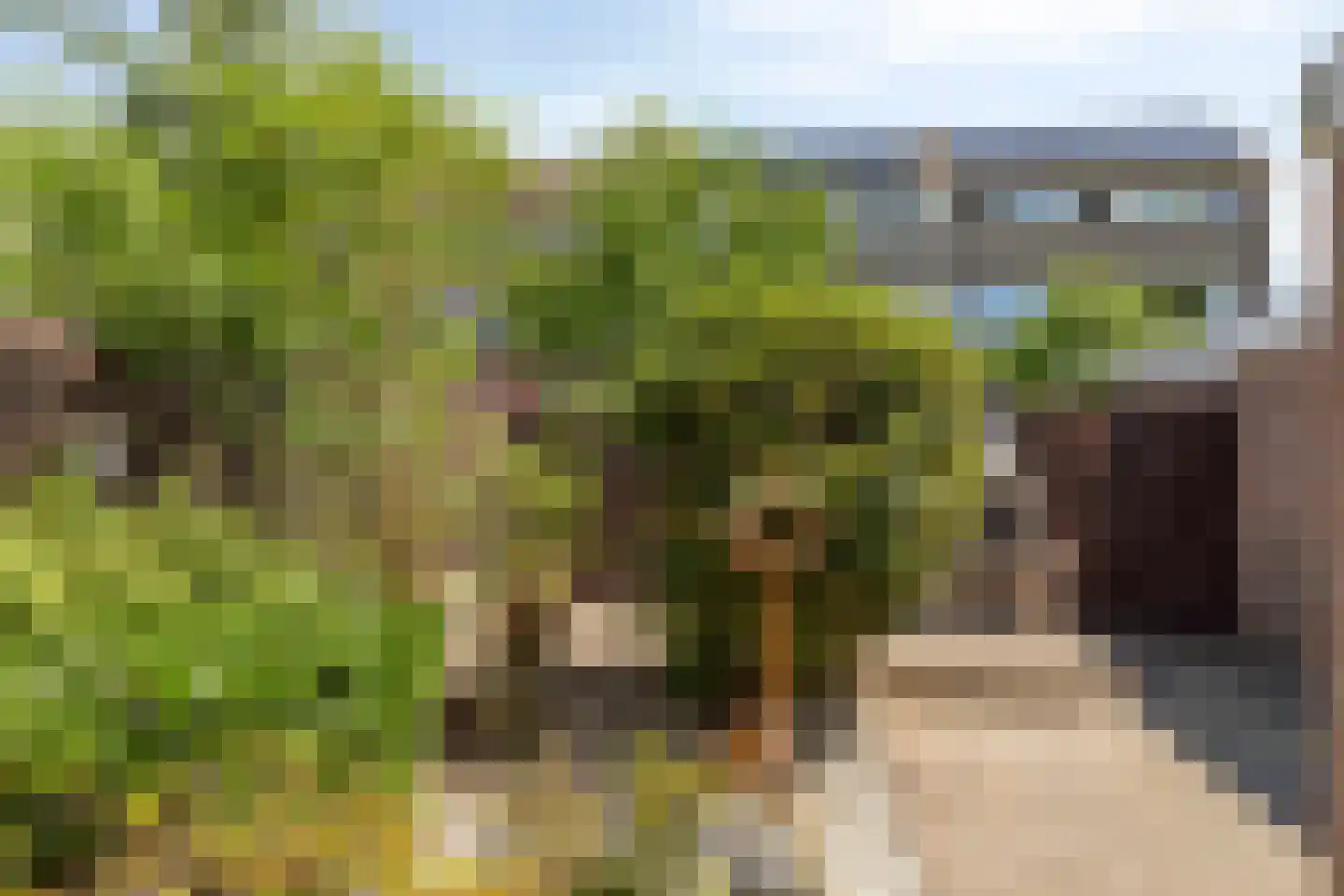 Keverberg 4 Eindhoven thumbnail 7
