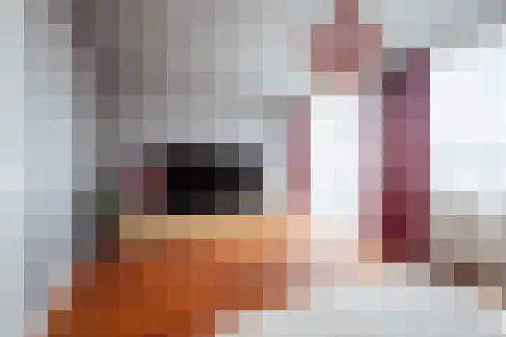 Keverberg 41 Amsterdam thumbnail 39