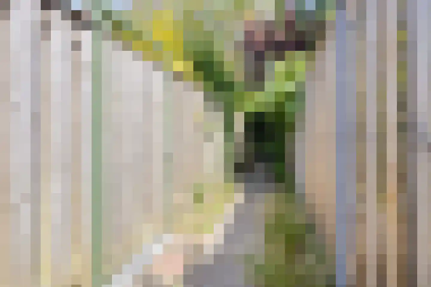 Keverberg 6 Eindhoven thumbnail 34