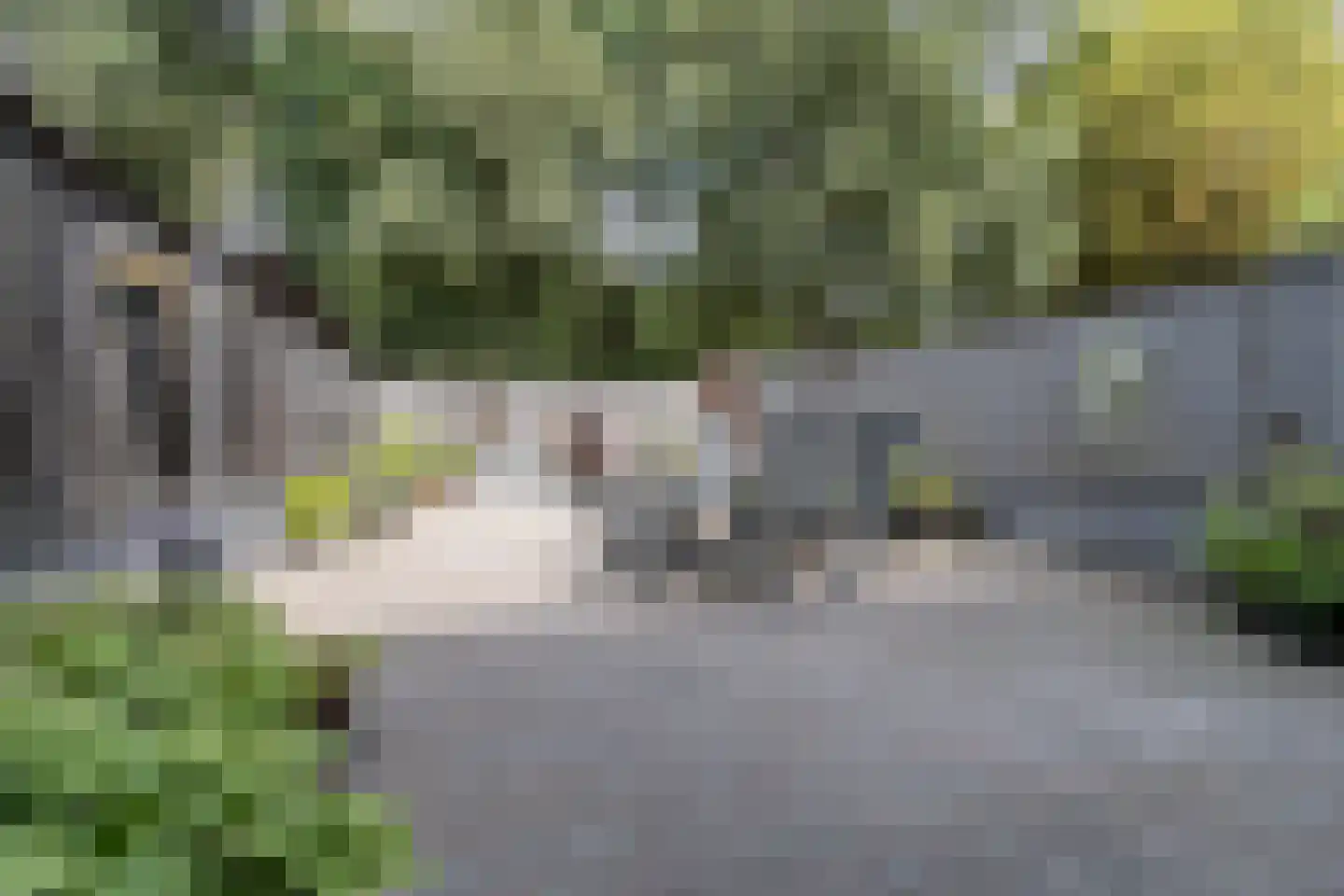 Keverberg 62 Weert thumbnail 34