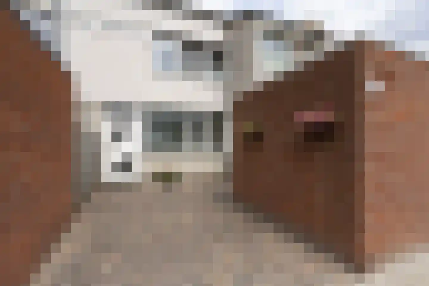 Keverberg 62 Weert thumbnail 36