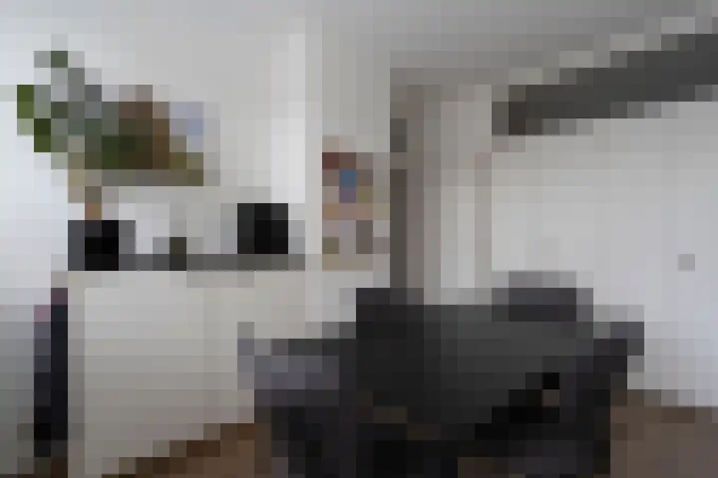 Keverberg 62 Weert thumbnail 9