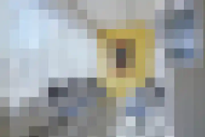 Keverberg 72 Eindhoven thumbnail 8