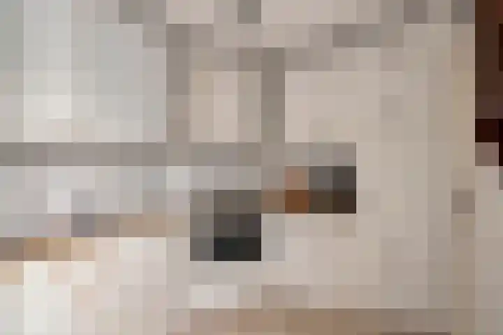 Keverberghof 5 Kessel thumbnail 15