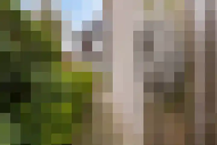 Keverberghof 5 Kessel thumbnail 35