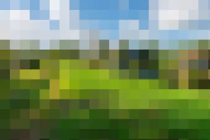 Keverdijk 65 Naarden thumbnail 31