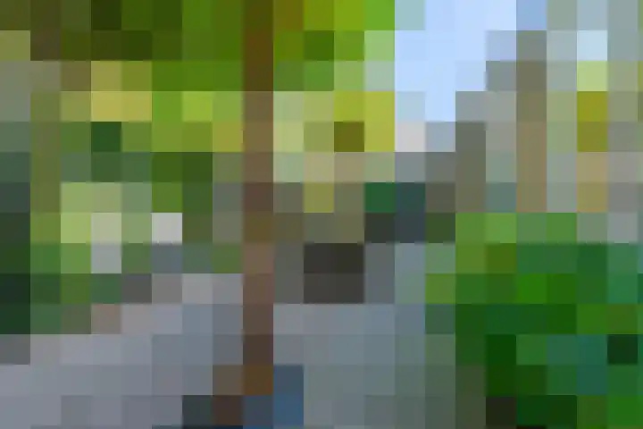 Keverdijk 65 Naarden thumbnail 6