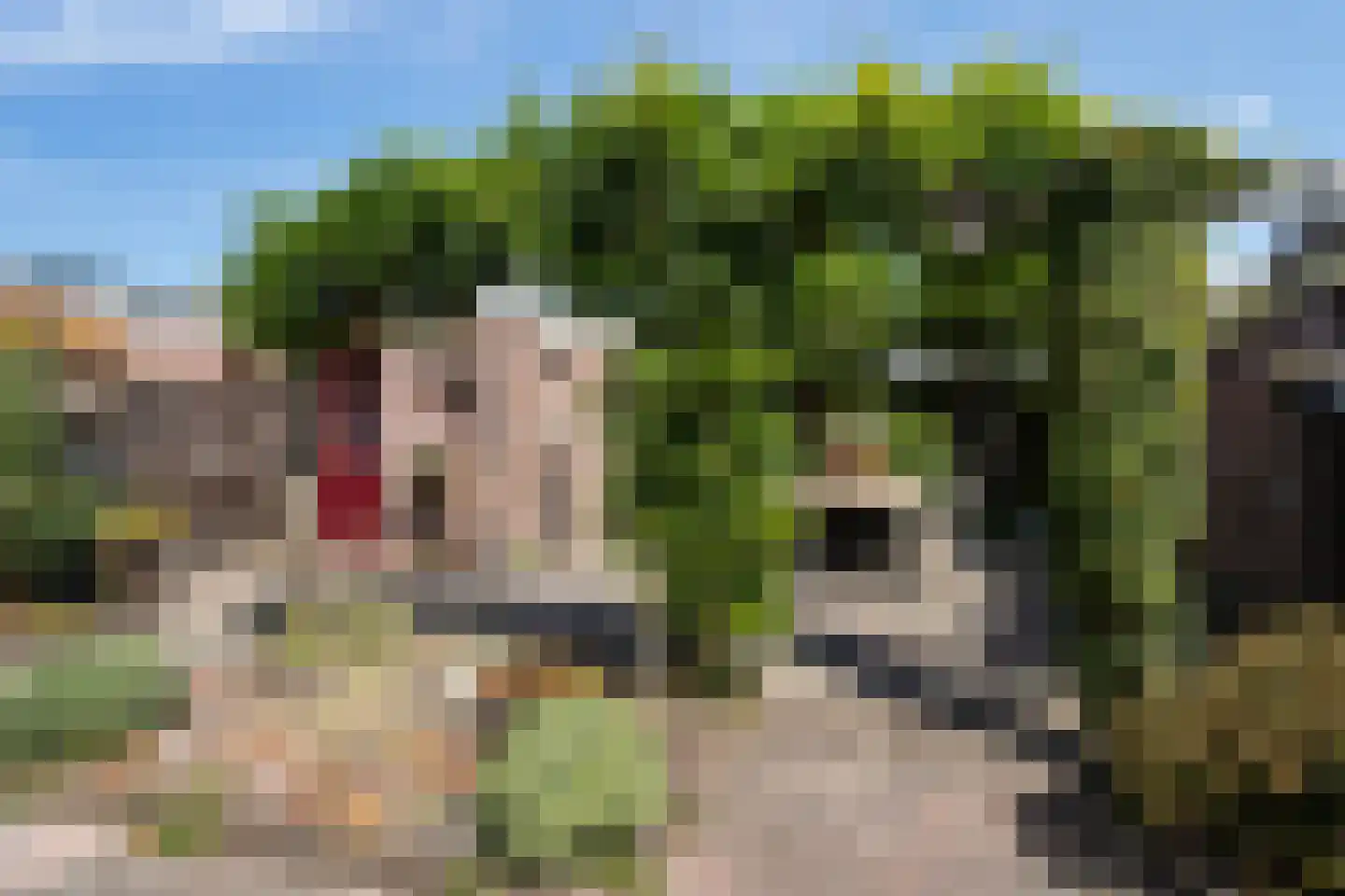 Keverdijk 81 Naarden thumbnail 16