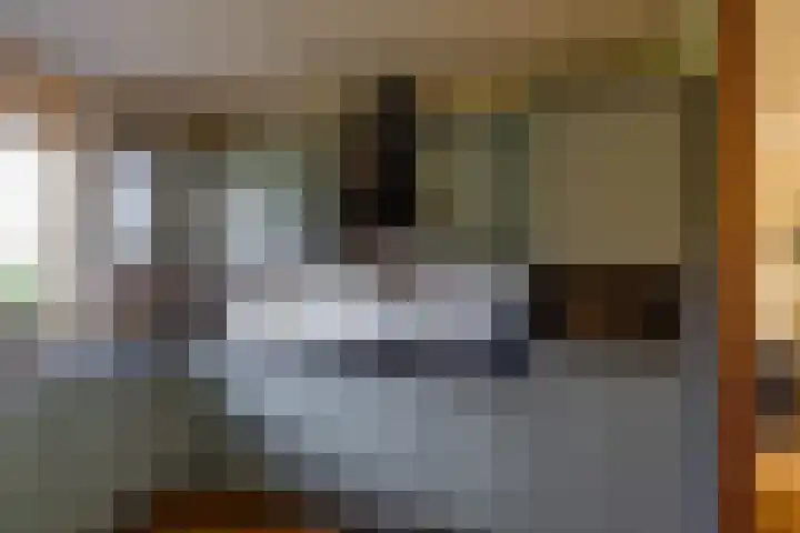 Keverkleuven 1 Assen thumbnail 15