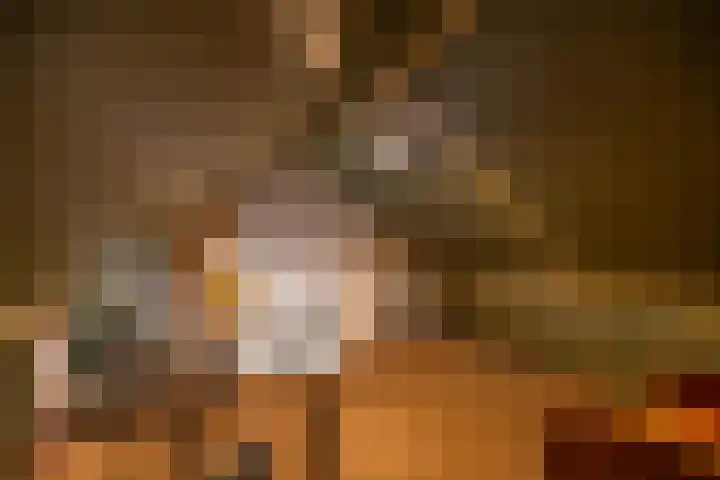 Keverkleuven 1 Assen thumbnail 33
