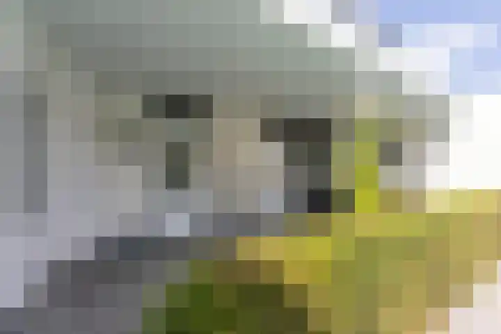 Keyserbosch 34 Weert thumbnail 15