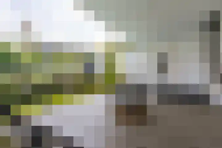 Keyserbosch 34 Weert thumbnail 16