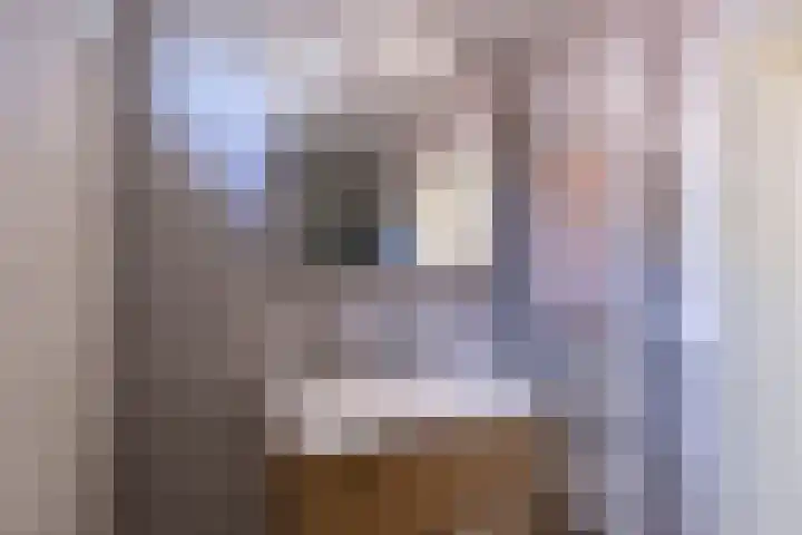 Keyserbosch 34 Weert thumbnail 21
