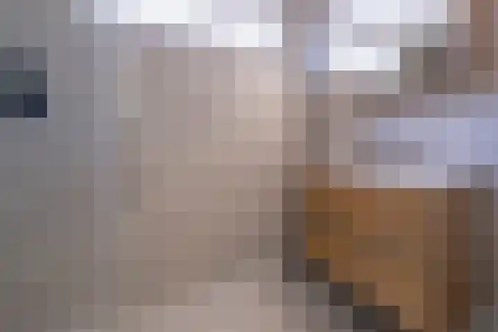 Keyserbosch 34 Weert thumbnail 22