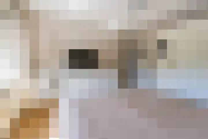 Keyserbosch 34 Weert thumbnail 24
