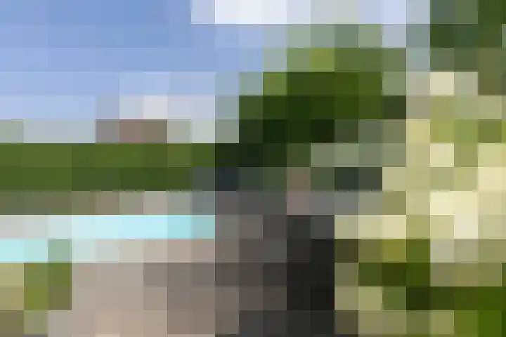 Keyserbosch 34 Weert thumbnail 37
