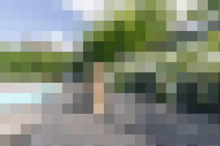 Keyserbosch 34 Weert thumbnail 38
