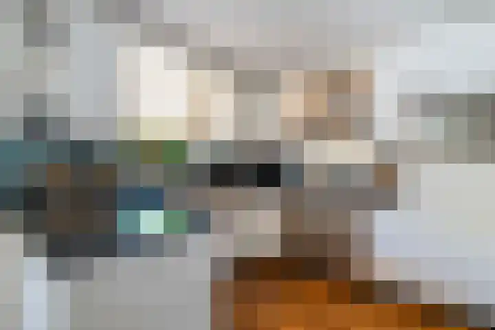 Keyserbosch 55 Weert thumbnail 19